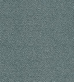 Filum Fabric by Clarke & Clarke Teal
