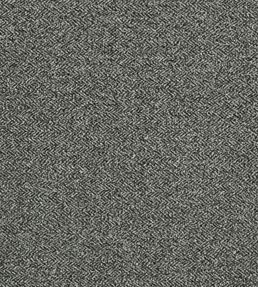 Rebano Fabric by Clarke & Clarke Smoke