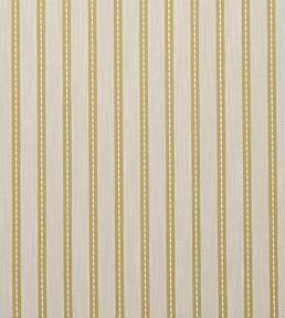 Welbeck Fabric by Clarke & Clarke Acacia