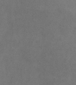 Club Velvet Fabric by Thibaut Alloy