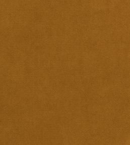 Club Velvet Fabric by Thibaut Amber