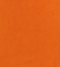 Club Velvet Fabric by Thibaut Autumn