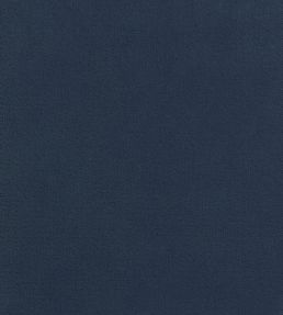 Club Velvet Fabric by Thibaut Cadet