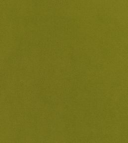 Club Velvet Fabric by Thibaut Citron