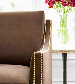 Club Velvet Fabric by Thibaut Espresso