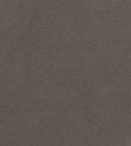 Club Velvet Fabric by Thibaut Flannel