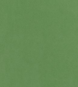 Club Velvet Fabric by Thibaut Grass