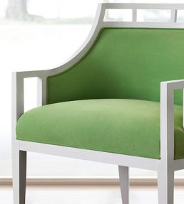 Club Velvet Fabric by Thibaut Grass