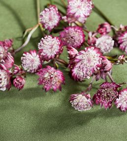 Club Velvet Fabric by Thibaut Lagoon