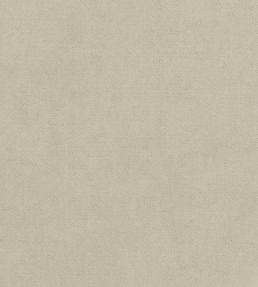 Club Velvet Fabric by Thibaut Oyster
