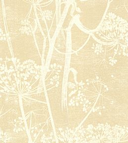 Cow Parsley Wallpaper by Cole & Son Warm Sand