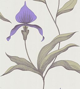 Orchid Wallpaper by Cole & Son 24