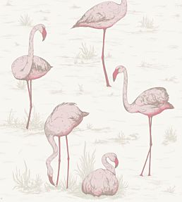 Flamingos Wallpaper by Cole & Son 45