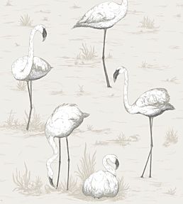 Flamingos Wallpaper by Cole & Son 46