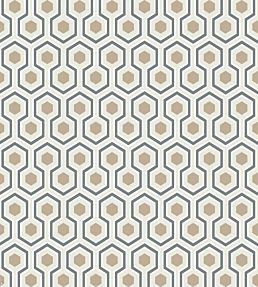 Hicks' Hexagon Wallpaper by Cole & Son 16