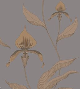 Orchid Wallpaper by Cole & Son 56
