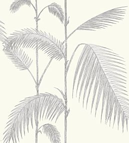 Palm Wallpaper by Cole & Son 8
