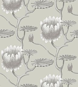 Summer Lily Wallpaper by Cole & Son 25