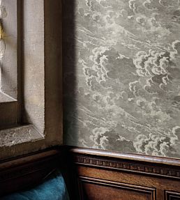Nuvolette Mural by Cole & Son Gilver & Charcoal