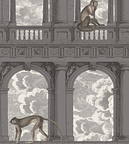 Procuratie Con Vista Wallpaper by Cole & Son Soot & Snow