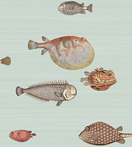Acquario Wallpaper by Cole & Son 10030