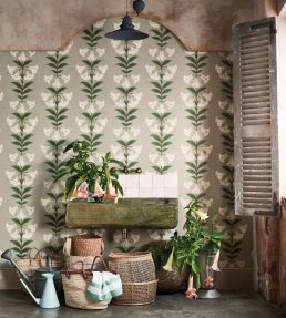 Angels Trumpet Wallpaper by Cole & Son 3007