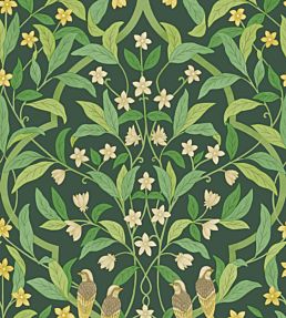 Jasmine And Serin Symphony Wallpaper by Cole & Son 10029