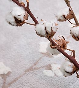 C-COT-BOLLS-Cotton Bolls-Rugs-Pearl Grey Pearl Grey