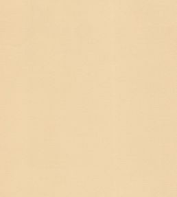 Curtain Lining - Cream by JC Cream