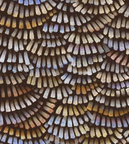 Dandelion Crane Wallpaper by Moooi Prisma