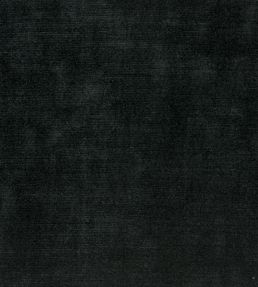 Glenville Fabric by Designers Guild Noir