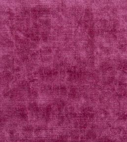 Glenville Fabric by Designers Guild Camellia