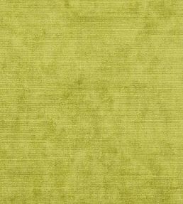 Glenville Fabric by Designers Guild Acacia