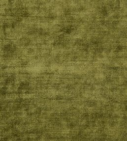 Glenville Fabric by Designers Guild Forest