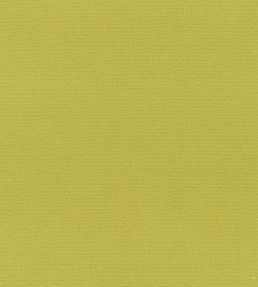 Madrid Fabric by Designers Guild Lime