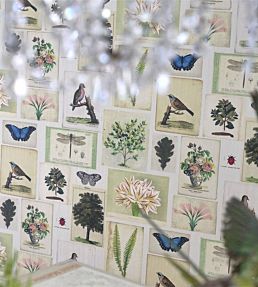 Flora And Fauna Wallpaper by Designers Guild Parchment