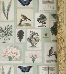 Flora And Fauna Wallpaper by Designers Guild Cloud Blue