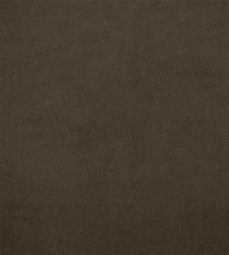 Velluto Fabric by Designers Guild Doeskin