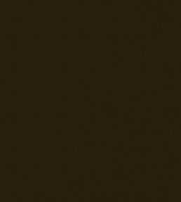 Velluto Stretto Fabric by Designers Guild Espresso