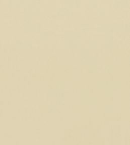 Empower Plain Fabric by Harlequin Almond