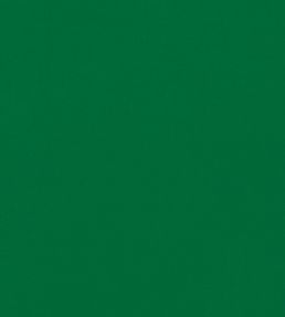 Empower Plain Fabric by Harlequin Bottle Green