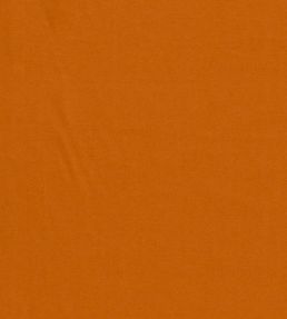 Empower Plain Fabric by Harlequin Cinnamon