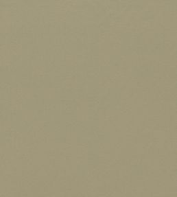 Empower Plain Fabric by Harlequin Putty