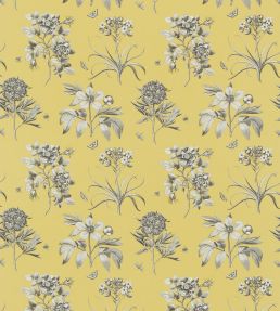 Etchings & Roses Fabric by Sanderson Empire Yellow