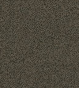 Everest Fabric by Warwick Earth