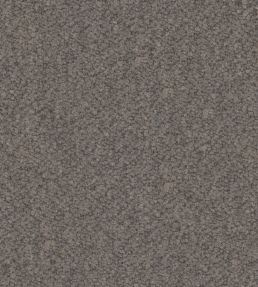 Everest Fabric by Warwick Steel