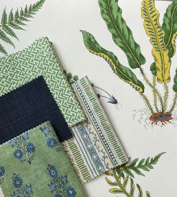 Ferns Wallpaper by GP & J Baker Parchment