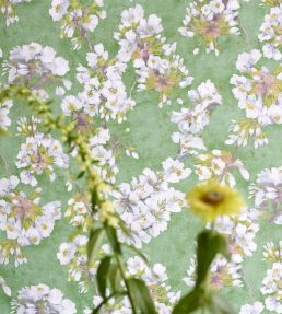 Fleur D'Assam Wallpaper by Designers Guild Platinum