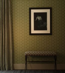 Flower Cut Out Wallpaper by Vanderhurd Storm
