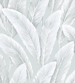 Foliage Sisal Wallpaper by Today Interiors Silver Lining